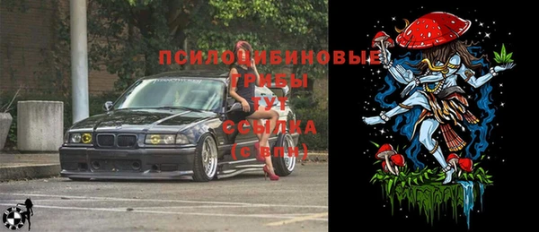 СК Абинск