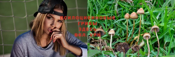 экстази Алексин